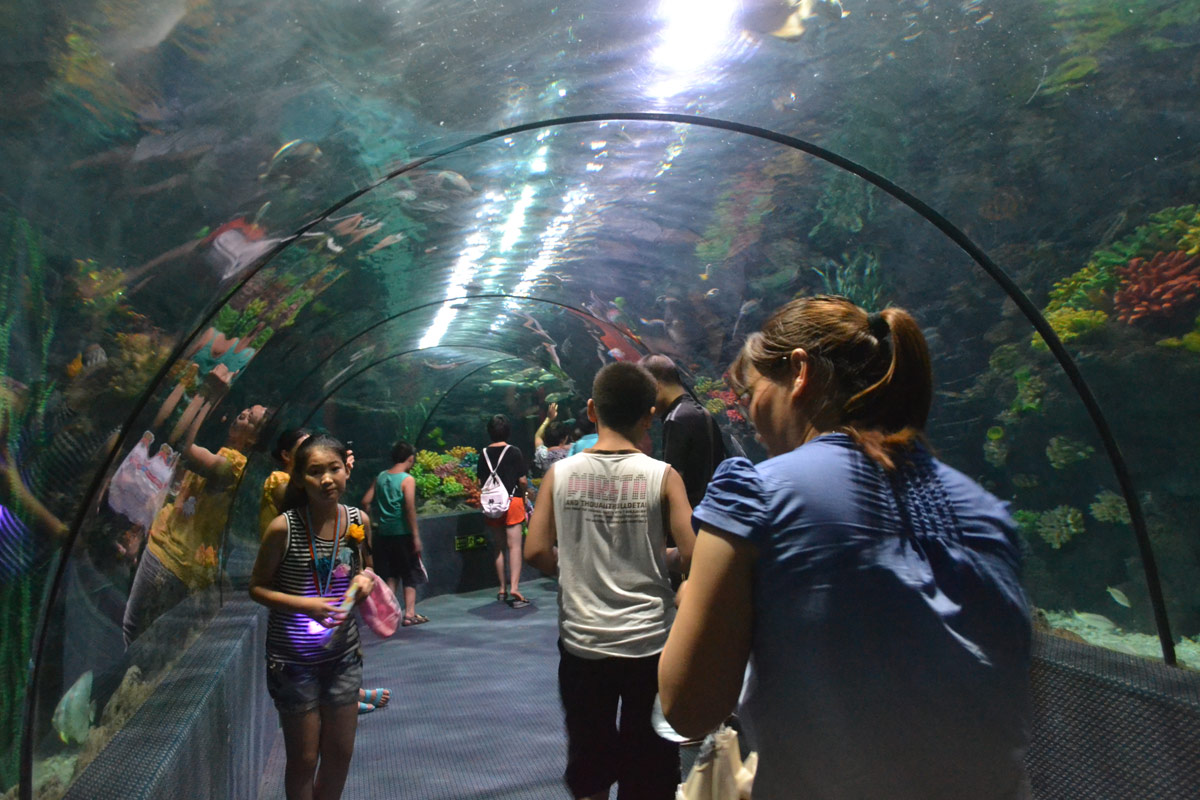 春節(jié)去哪兒？出游地圖告訴您！