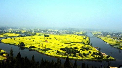盤(pán)點(diǎn)全國(guó)13處絕美的油菜花觀(guān)賞地