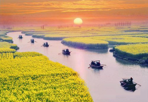 如何拍攝油菜花？達(dá)人教你7個(gè)拍攝技巧