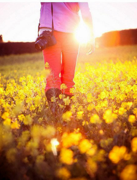 如何拍攝油菜花？達(dá)人教你7個(gè)拍攝技巧