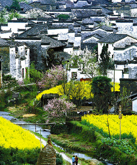 如何拍攝油菜花？達(dá)人教你7個(gè)拍攝技巧