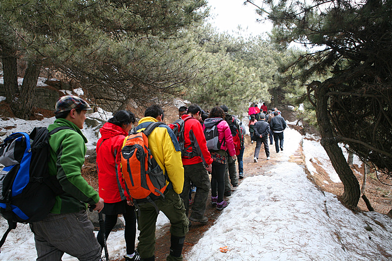 王莽嶺景區(qū)三八開(kāi)門(mén)紅 游人蜂涌而至