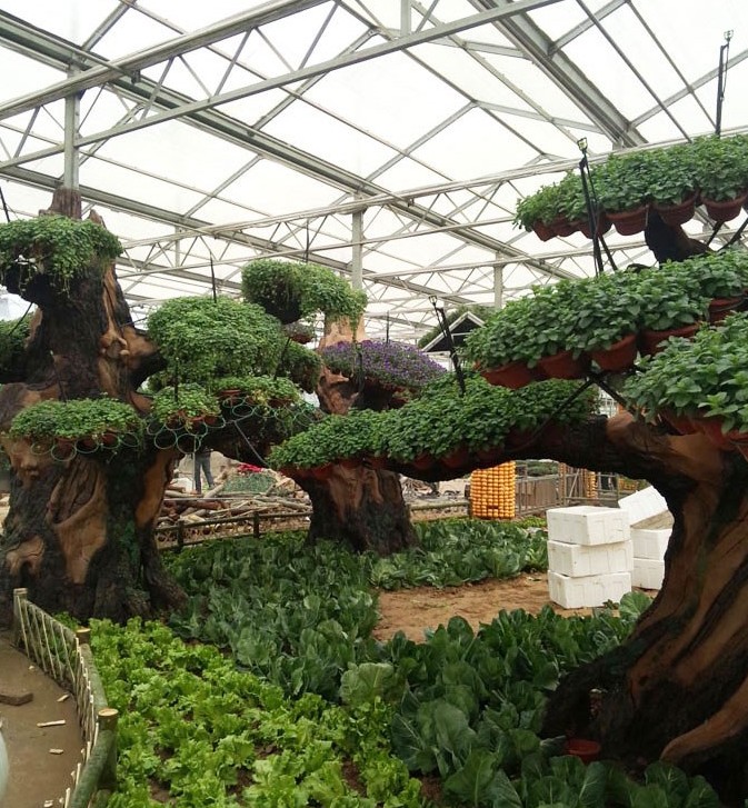 中牟國家農(nóng)業(yè)公園 中牟國家農(nóng)業(yè)公園