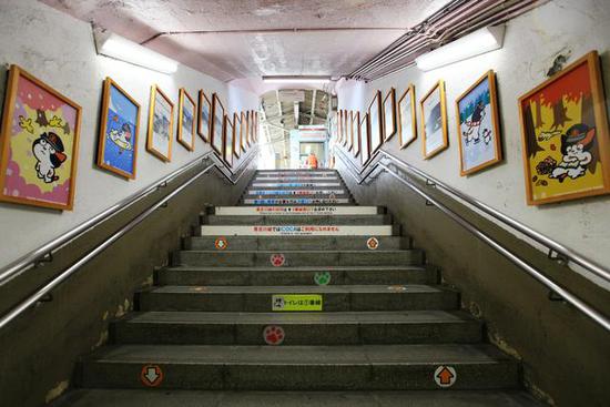 全球最萌車站 站長是只貓 全球最萌車站 站長是只貓