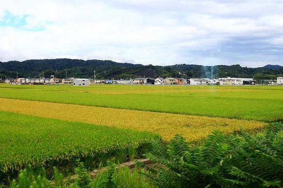 全球最萌車站 站長是只貓 全球最萌車站 站長是只貓