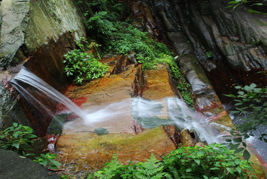 芳菲四月 來(lái)雞公山感受春光無(wú)限 芳菲四月 來(lái)雞公山感受春光無(wú)限