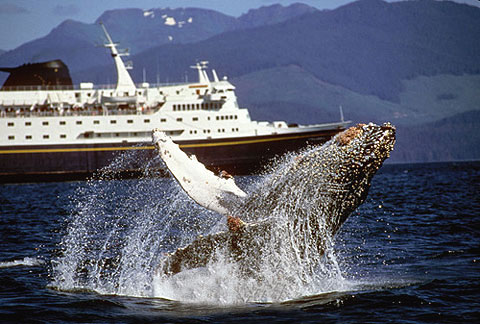 體驗(yàn)阿拉斯加四季之美 感受地理美景 體驗(yàn)阿拉斯加四季之美 感受地理美景
