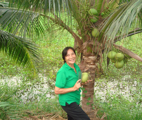 曼谷新式樹(shù)屋賓館 在未受侵染的凈土上入睡 曼谷新式樹(shù)屋賓館 在未受侵染的凈土上入睡