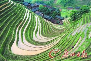 　　龍勝梯田錯(cuò)落有致。