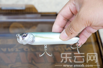 　　又稱擬餌釣魚(yú),起源于歐洲,國(guó)內(nèi)翻譯為“路亞”。
