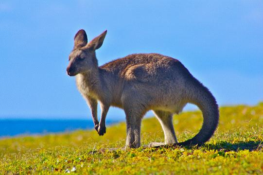 全家出國游去哪里？推薦十佳旅游勝地