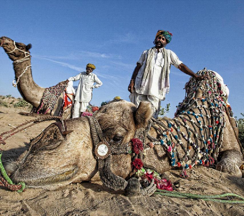 全家出國游去哪里？推薦十佳旅游勝地