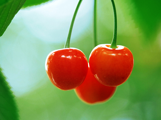 周末摘櫻桃 鄭州櫻桃溝自駕公交路線 周末摘櫻桃 鄭州櫻桃溝自駕公交路線