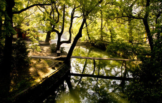 婺源初夏出游攻略:追尋綠與水的世界 婺源初夏出游攻略:追尋綠與水的世界