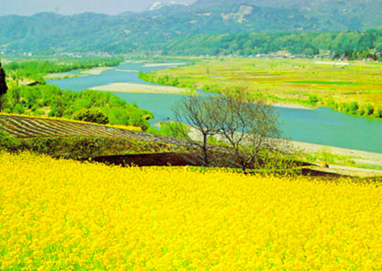 信陽(yáng)舉行“捷安特杯”美麗鄉(xiāng)村全國(guó)單車(chē)嘉年華 信陽(yáng)舉行“捷安特杯”美麗鄉(xiāng)村全國(guó)單車(chē)嘉年華