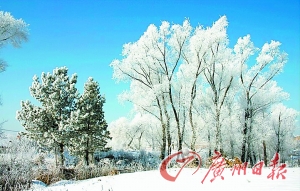 賞冬雪,天南地北皆相宜 賞冬雪,天南地北皆相宜