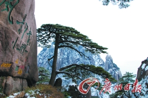 賞冬雪,天南地北皆相宜 賞冬雪,天南地北皆相宜