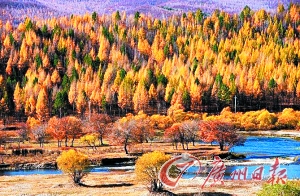 　　呼倫貝爾秋色。