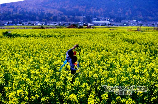 　　不論從人文氣息還是田園自然風光,都值得我們?？?。(圖片來源:CFP)