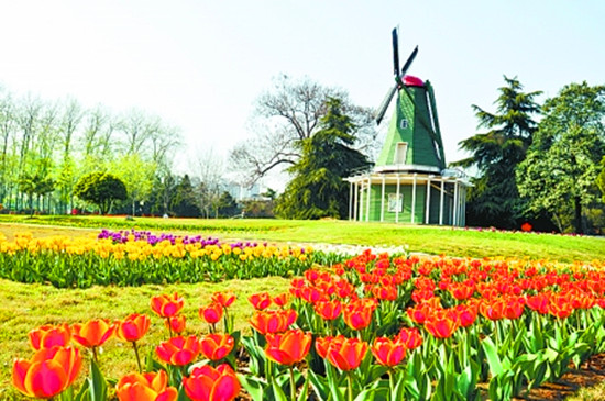 5園賞花指南-百花齊放的春天 5園賞花指南-百花齊放的春天