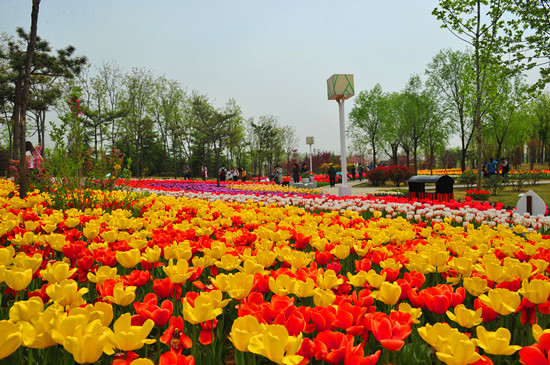 5園賞花指南-百花齊放的春天 5園賞花指南-百花齊放的春天