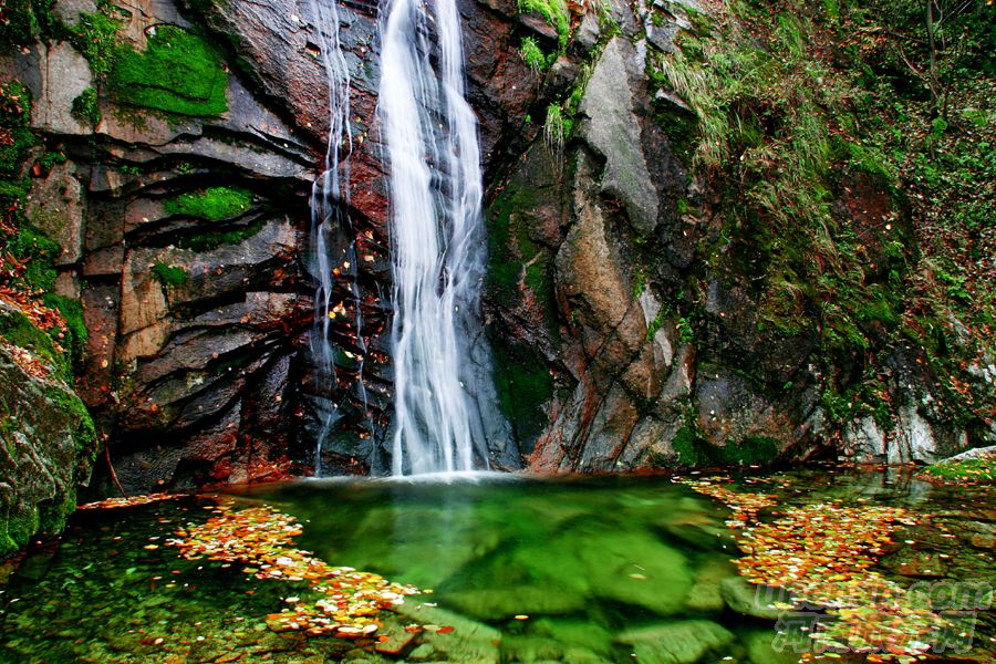 旅游商城享特惠 35元暢游欒川養(yǎng)子溝 旅游商城享特惠 35元暢游欒川養(yǎng)子溝