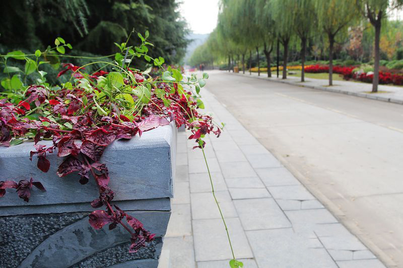 初冬旅游正此時(shí) 騎行走進(jìn)黃河風(fēng)景名勝區(qū) 初冬旅游正此時(shí) 騎行走進(jìn)黃河風(fēng)景名勝區(qū)