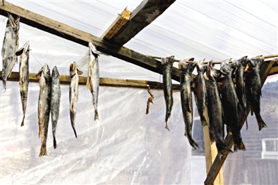 長白山腳下一家小餐館內(nèi)晾曬的冷水魚。