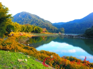 初冬的石門(mén)森林公園色彩絢爛。