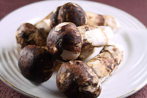 不時(shí)不吃滋補(bǔ)松茸宴 秋季進(jìn)補(bǔ)佳品 不時(shí)不吃滋補(bǔ)松茸宴 秋季進(jìn)補(bǔ)佳品