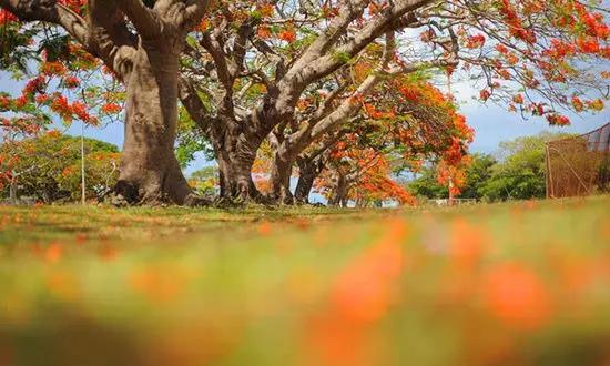 適合在冬天旅游的十個(gè)絕美海島！