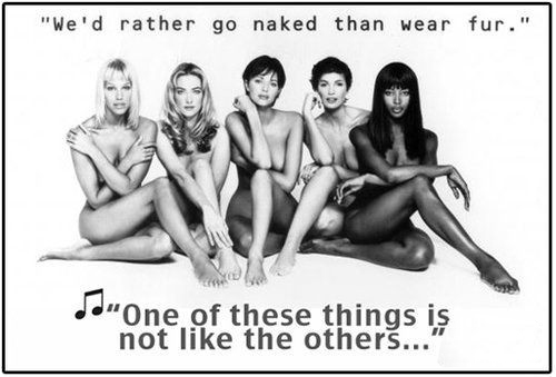 時尚圈第一組群?？棺h皮草大片