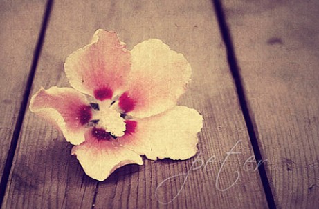 箬耶一周星座運勢播報2013.11.18-11.24 箬耶一周星座運勢播報2013.11.18-11.24