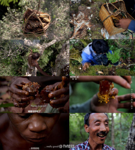 網(wǎng)友上傳《舌尖2》與BBC視頻截圖對(duì)比照