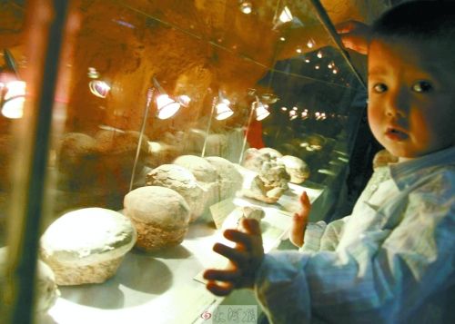 恐龍蛋，這回見識了吧！