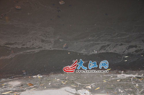 19日晚上的玉帶河，紅色河水變回灰綠色。