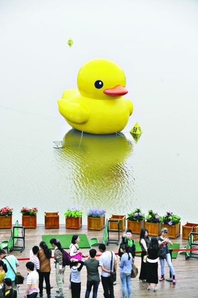 “大黃鴨”現(xiàn)身武漢漢南碧桂園記者陳卓攝 “大黃鴨”現(xiàn)身武漢漢南碧桂園記者陳卓攝