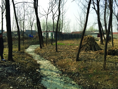 486臺兒莊戰(zhàn)役將士埋骨荒野 紀念設施或年內(nèi)落成