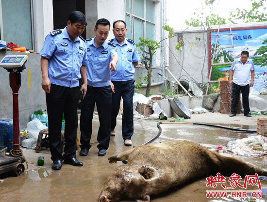 西平警方保衛(wèi)餐桌安全開展地毯式大排查大行動(dòng) 西平警方保衛(wèi)餐桌安全開展地毯式大排查大行動(dòng)