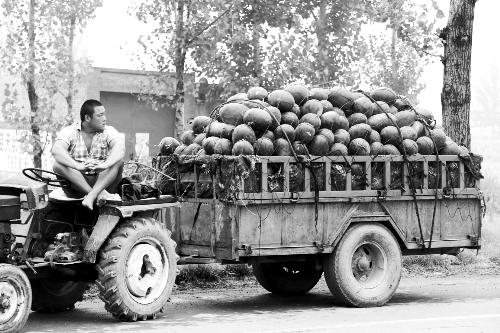 　看著滿滿一車瓜，一瓜農(nóng)愁眉不展。