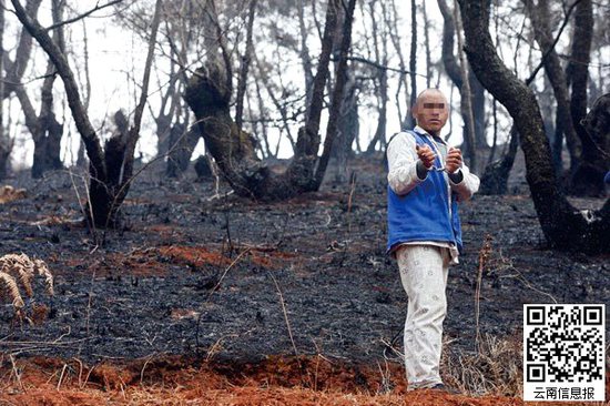 山林被燒得滿目瘡痍。