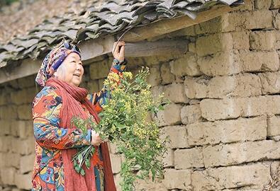 公式“時尚奶奶”的賞花照，收獲了好多人的點贊。 受訪者供圖