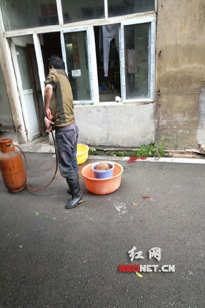 5月8日，男子在校園里殺狗，地上殘留一塊血跡。目擊者供圖。