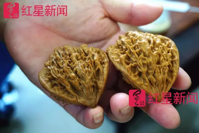 文玩核桃遇冷由幾萬一對降到5元沒人要？商戶否認