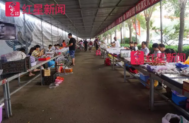 文玩核桃遇冷由幾萬一對降到5元沒人要？商戶否認