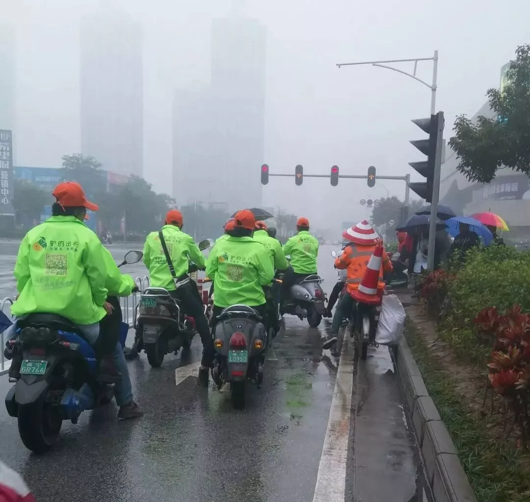 出門打驢？ 南寧“滴滴打驢”被緊急叫停