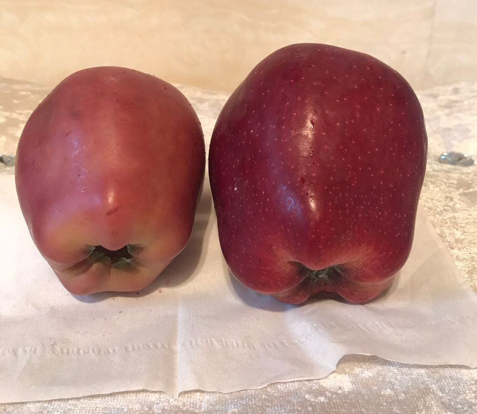 嚇懵！女子用熱水泡蘋果結(jié)果冒出血珠 咋回事？