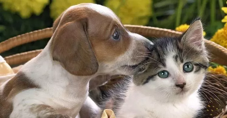 可憐！12歲女孩右眼完全失明 只因平時有這愛好