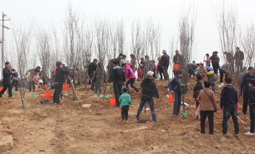 植樹(shù)活動(dòng)開(kāi)始將一棵棵綠色愛(ài)心深埋泥土 植樹(shù)活動(dòng)開(kāi)始將一棵棵綠色愛(ài)心深埋泥土