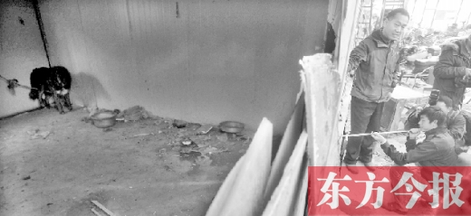 12月4日，鄭州市未來(lái)路與隴海路交叉口西側(cè)，執(zhí)法人員用吹管麻醉針對(duì)付一只藏獒